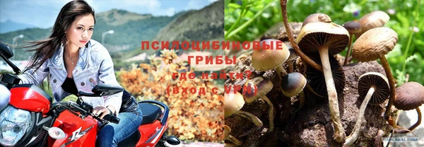 ALPHA-PVP Мегион