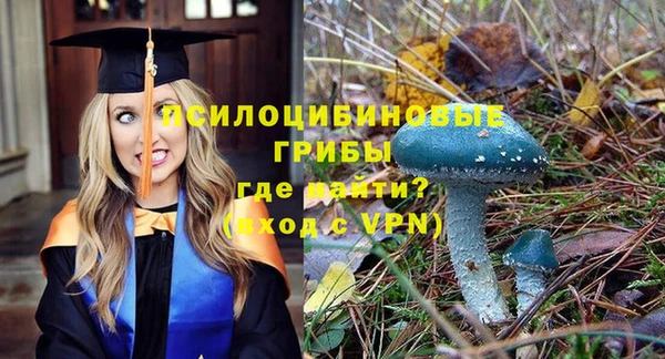 крисы Медвежьегорск