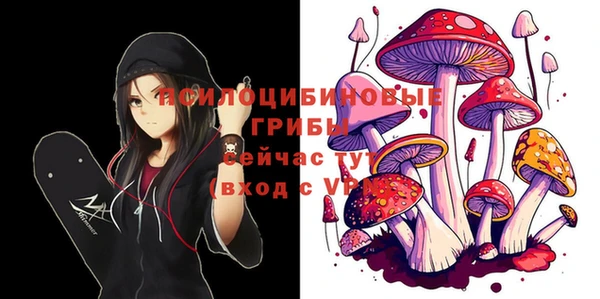 не бодяженный Михайлов