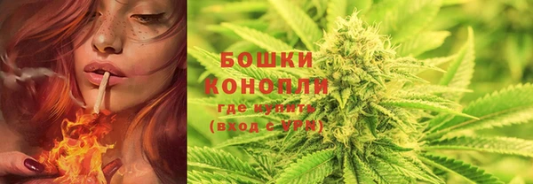 крисы Медвежьегорск
