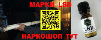 spice Малгобек