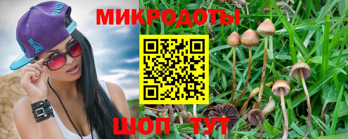 Тула  Галлюциногенные грибы прущие грибы  Вход с VPN 