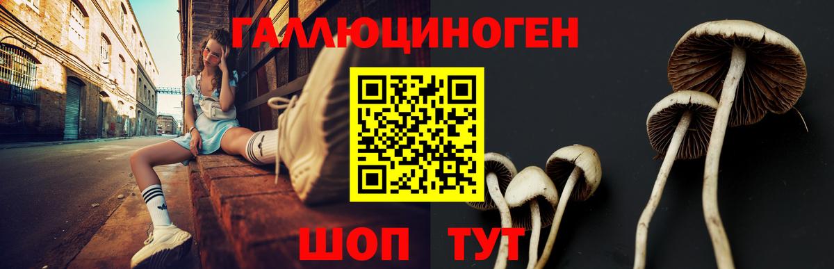 Галлюциногенные грибы ЛСД Тула